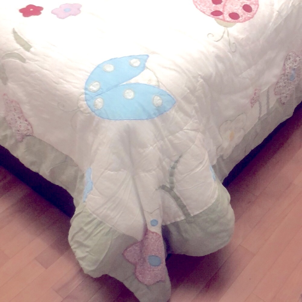 Twin set of bedding comforter & pillow case